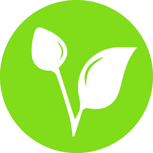 Green leaves Icon