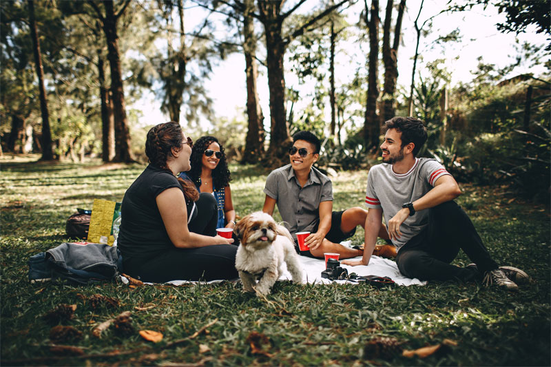 Four people having picnic